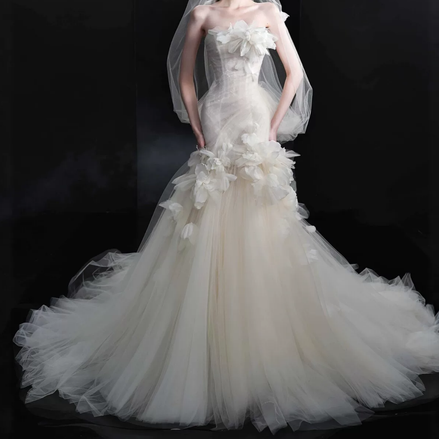 product-1440-1440